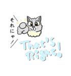 ねこベイビー（個別スタンプ：9）