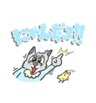 ねこベイビー（個別スタンプ：19）