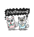 ねこベイビー（個別スタンプ：22）
