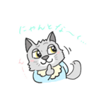 ねこベイビー（個別スタンプ：34）