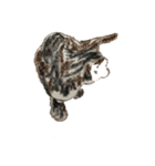 cats in crayon 2（個別スタンプ：5）
