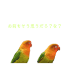 アニマル系（個別スタンプ：5）