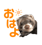 るうとむぎ（個別スタンプ：5）