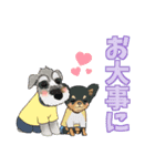 わんちゃんと女の子の日常〜敬語ver.〜（個別スタンプ：17）