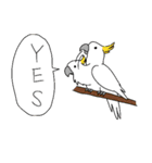 ゆるい野生動物から一言（個別スタンプ：1）
