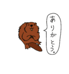 ゆるい野生動物から一言（個別スタンプ：3）