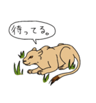 ゆるい野生動物から一言（個別スタンプ：17）