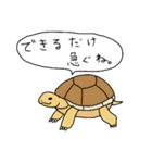 ゆるい野生動物から一言（個別スタンプ：24）