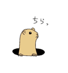 ゆるい野生動物から一言（個別スタンプ：26）