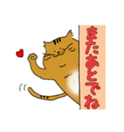 ねこ部 その2（個別スタンプ：14）