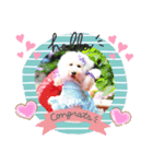 Maple＆Neige（個別スタンプ：1）