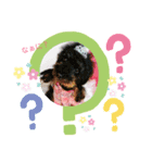 Maple＆Neige（個別スタンプ：4）