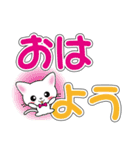 毎日使える☆白猫ちゃんのデカ文字スタンプ（個別スタンプ：1）