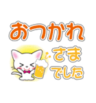 毎日使える☆白猫ちゃんのデカ文字スタンプ（個別スタンプ：6）