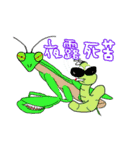いもむし"カーリー” 夏休みも一緒だよ！（個別スタンプ：37）