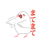 もちまる鳥 文鳥編（個別スタンプ：2）