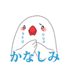 もちまる鳥 文鳥編（個別スタンプ：6）