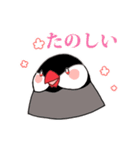 もちまる鳥 文鳥編（個別スタンプ：7）