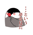 もちまる鳥 文鳥編（個別スタンプ：15）