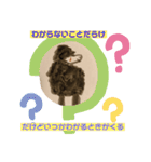 だいとが描いた絵のスタンプ(改訂版)（個別スタンプ：13）