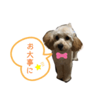 りむたん②（個別スタンプ：1）