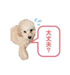 りむたん②（個別スタンプ：6）