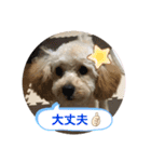 りむたん②（個別スタンプ：8）