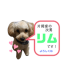 りむたん②（個別スタンプ：11）
