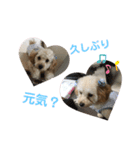 りむたん②（個別スタンプ：15）
