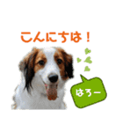 バニラとシエルのバニシエ日和♡（個別スタンプ：2）