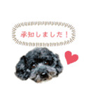 バニラとシエルのバニシエ日和♡（個別スタンプ：8）