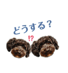 バニラとシエルのバニシエ日和♡（個別スタンプ：20）
