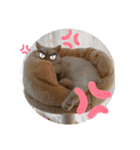 マンチカンのけまりちゃん2（個別スタンプ：25）