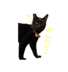 たいちゃんち（個別スタンプ：1）