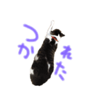 たいちゃんち（個別スタンプ：2）