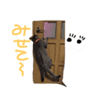 たいちゃんち（個別スタンプ：8）