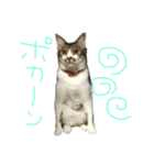 たいちゃんち（個別スタンプ：9）