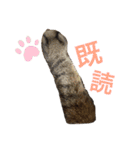 たいちゃんち（個別スタンプ：11）