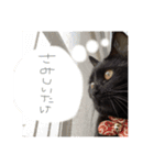 たいちゃんち（個別スタンプ：16）