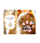 コロンのぽっちゃりスタンプ その2（個別スタンプ：3）