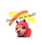 dog is Purin 2（個別スタンプ：2）