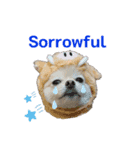 dog is Purin 2（個別スタンプ：4）