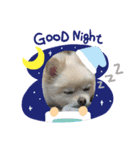 dog is Purin 2（個別スタンプ：6）