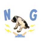 Trump4（個別スタンプ：7）