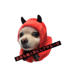 dog is Purin（個別スタンプ：7）
