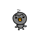 ぴりょこ（個別スタンプ：1）