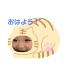 綾翔と小太郎とむぎ2（個別スタンプ：1）
