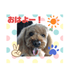 綾翔と小太郎とむぎ2（個別スタンプ：5）