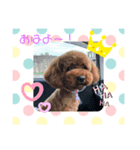 綾翔と小太郎とむぎ2（個別スタンプ：6）