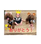 綾翔と小太郎とむぎ2（個別スタンプ：7）